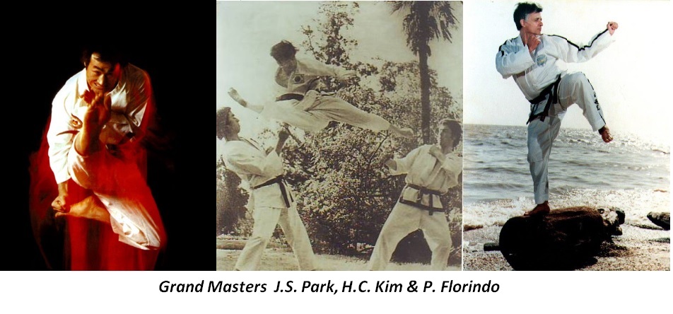 Grandes Maestros | Taekwon